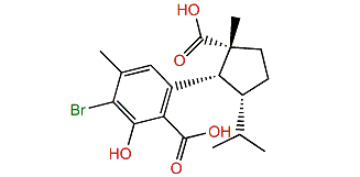 Hamigeran E